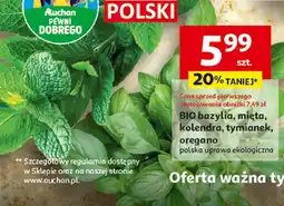 Auchan BIO bazylia, mięta, kolendra, tymianek, oregano Auchan oferta