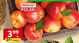 Auchan Jabłka układane odmiana gala, golden Auchan oferta