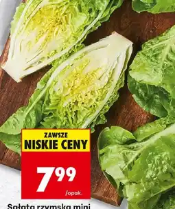 Biedronka Sałata rzymska mini oferta