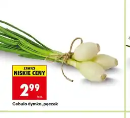 Biedronka Cebula dymka oferta