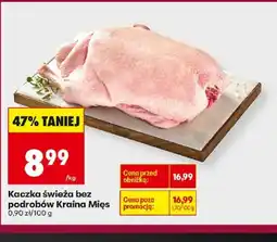 Biedronka Kaczka świeża bez podrobów Kraina Mięs oferta