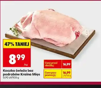 Kaczka świeża bez podrobów Kraina Mięs