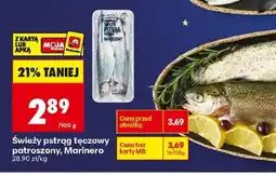 Biedronka Swieży pstrąg tęczowy oferta