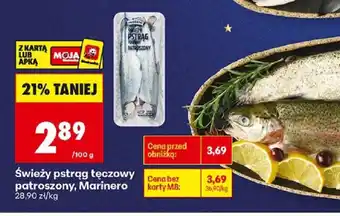 Swieży pstrąg tęczowy