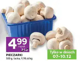 Stokrotka Express Pieczarki oferta