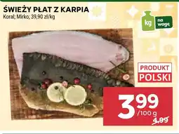 Stokrotka Market Płat z karpia Mirko oferta