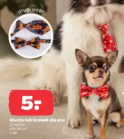 Netto Mucha dla psa oferta