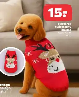 Netto Sweter dla psa oferta