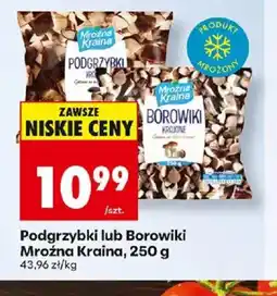 Biedronka Podgrzybki lub Borowiki oferta