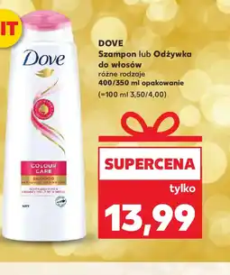 Kaufland DOVE Szampon lub Odżywka oferta