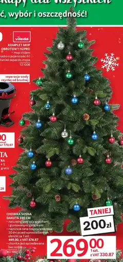 Selgros Choinka sosna dakota 220 cm oferta