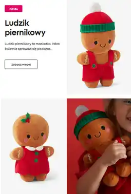 Pepco Ludzik piernikowy oferta