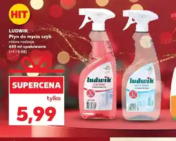 Kaufland LUDWIK Płyn do mycia szyb oferta
