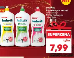 Kaufland LUDWIK Płyn do mycia naczyń oferta