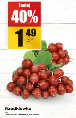 Supeco Rzodkiewka Supeco oferta