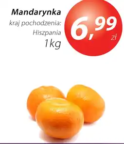Market Point Mandarynka kraj pochodzenia: Hiszpania Market Point oferta