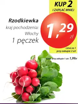 Market Point Rzodkiewka kraj pochodzenia: Włochy 1 pęczek Market Point oferta