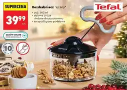 Biedronka Rozdrabniacz ręczny oferta