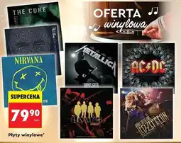 Biedronka Płyty winylowe oferta
