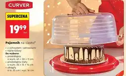 Biedronka Pojemnik na ciasto oferta