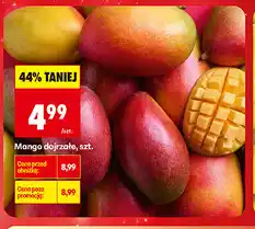 Biedronka Mango dojrzałe oferta