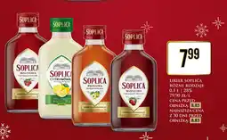 Dino Likier Soplica różne rodzaje 0,1L oferta