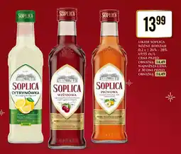 Dino Likier Soplica, różne rodzaje 0,2 L oferta