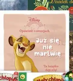 Polomarket Już się nie martwię (Disney - Opowieści o emocjach) oferta