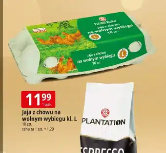 E.Leclerc Jaja Polska Kurka oferta