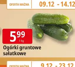 E.Leclerc Ogórki oferta