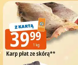 E.Leclerc Karp oferta