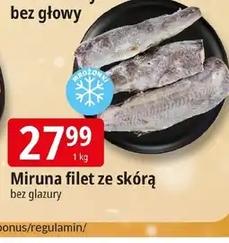E.Leclerc Miruna ze skórą oferta