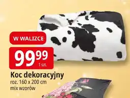 E.Leclerc Koc oferta