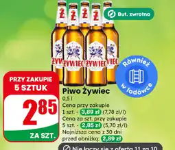 Dino Piwo Żywiec oferta
