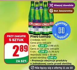 Dino Piwo Łomża oferta