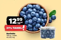 Netto Borówka Netto oferta