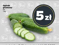 Netto Ogórek gruntowy luz Netto oferta