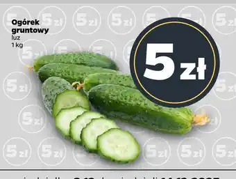 Netto Ogórek gruntowy luz Netto oferta