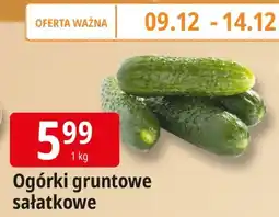 E.Leclerc Ogórki gruntowe sałatkowe Leclerc oferta