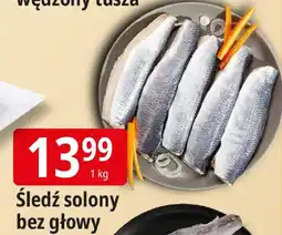 E.Leclerc Śledź solony bez głowy Leclerc oferta