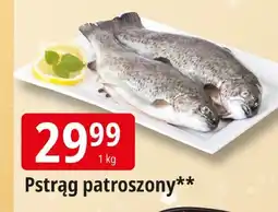 E.Leclerc Pstrąg patroszony Leclerc oferta