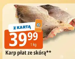 E.Leclerc Karp płaz ze skórą Leclerc oferta