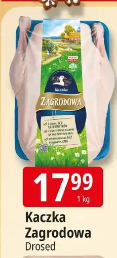 E.Leclerc Kaczka Zagrodowa Drosed oferta