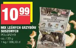 Spar Mix leśnych grzybów suszonych Polgrzryb oferta