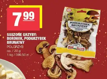 Suszone grzyby: borowik, podgrzybek brunatny POŁGRZYB