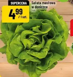 Polomarket Sałata masłowa oferta
