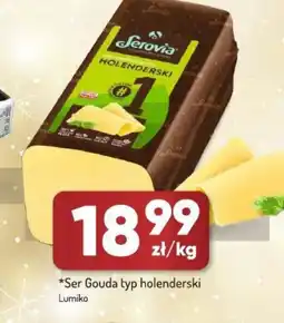 Avita Serovia Ser Gouda holenderski oferta