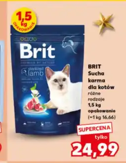 Kaufland Karma dla kota Brit oferta