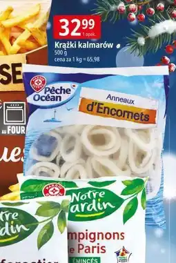E.Leclerc Kalmary krążki Wiodąca Marka Peche Ocean oferta