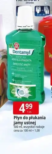 E.Leclerc Płyn do płukania jamy ustnej miętowy Wiodąca Marka Dentamyl oferta